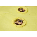 Careys Secret Garden Bath Bomb
